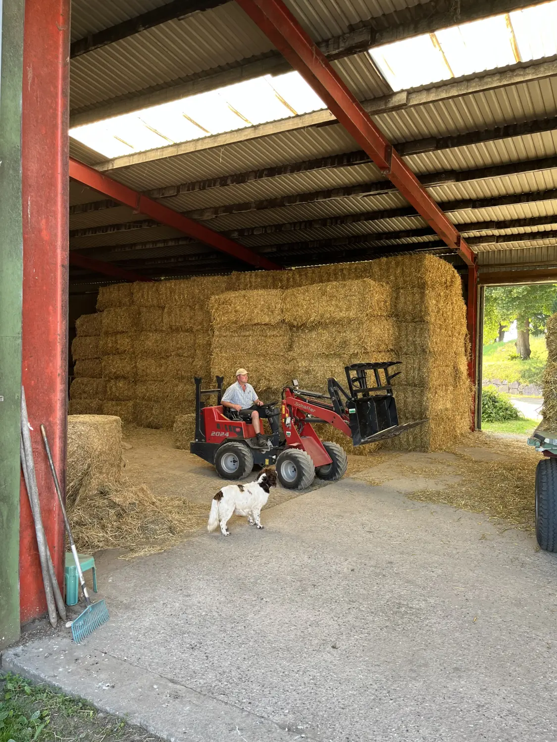 Ein Mann auf einem Traktor mit einem Hund von Ferienhof Th