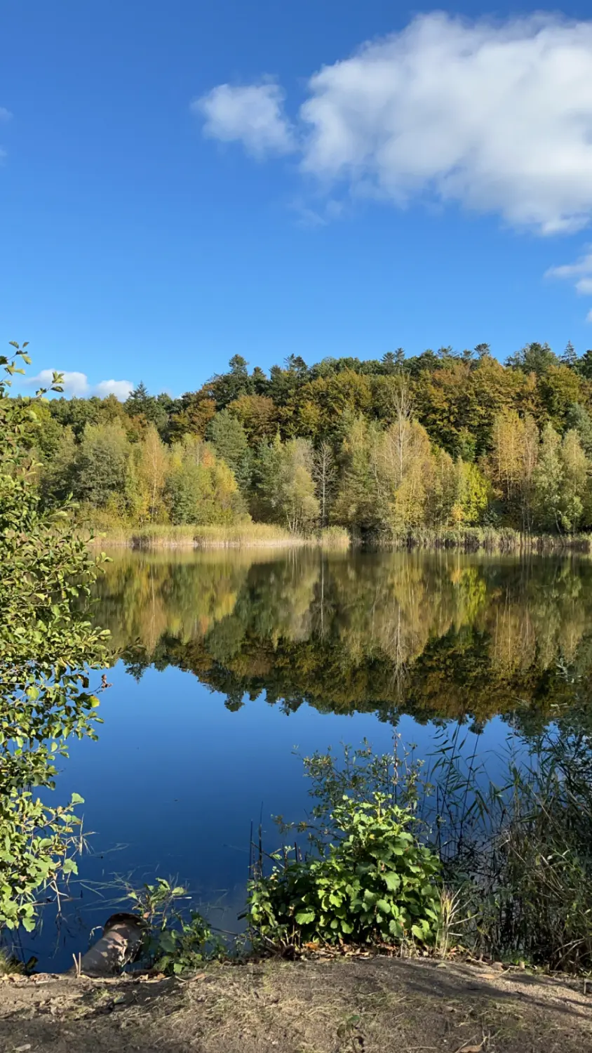 Tierfarm von Ferienhof Theede